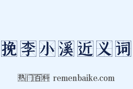 挽李小溪近义词是什么意思的图片